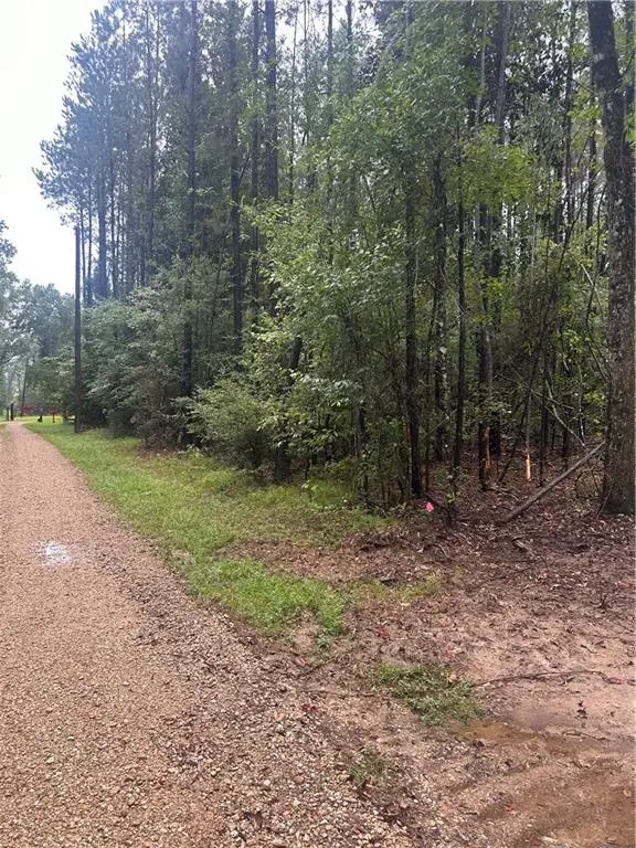 TBD Bennett Road, Independence, LA 70443 - #3