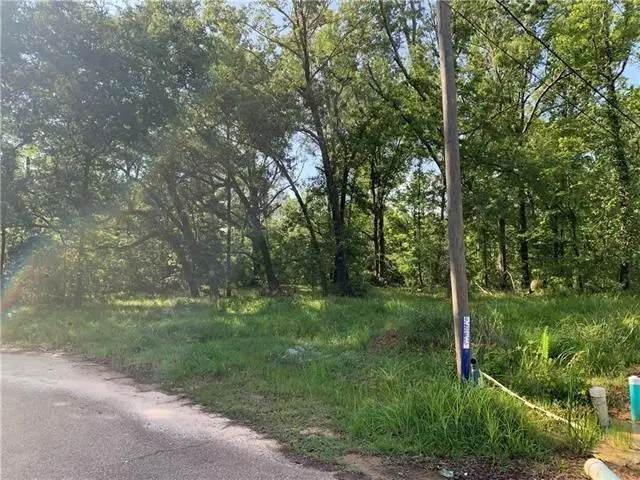 TBD Tina Drive, Hammond, LA 70401 - #1