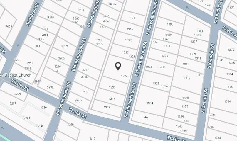 1329 S Telemachus Street, New Orleans, LA 70125 - #2