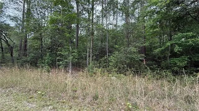 0 Burke Drive, Abita Springs, LA 70420 - #1