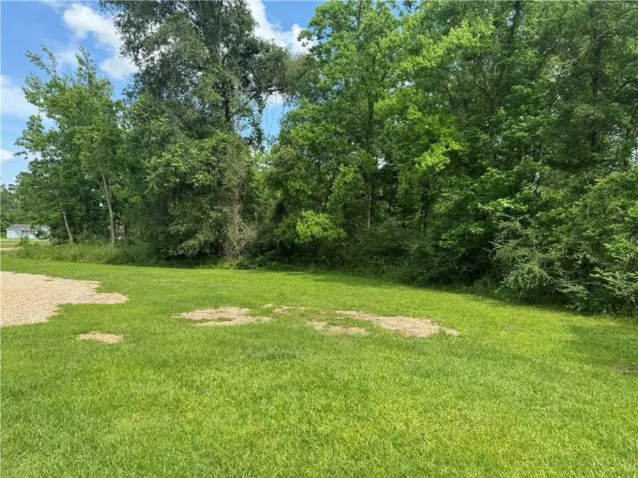 Commercial Street, Roseland, LA 70456 - #3