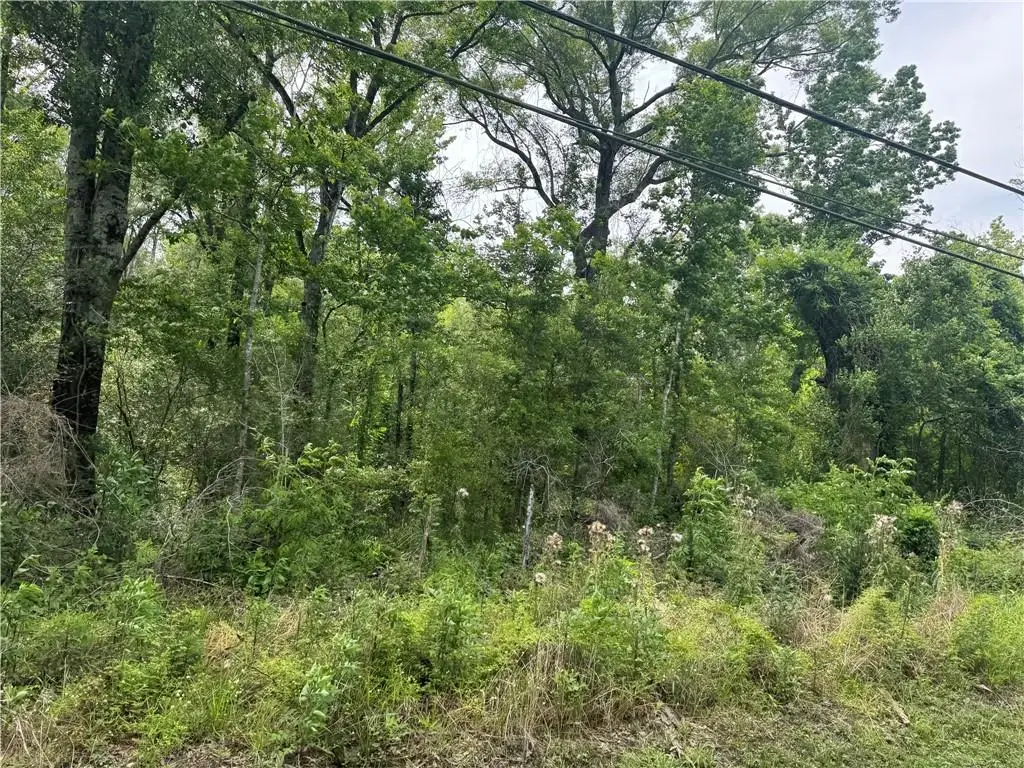 12558 N Central Avenue, Roseland, LA 70456 - #1