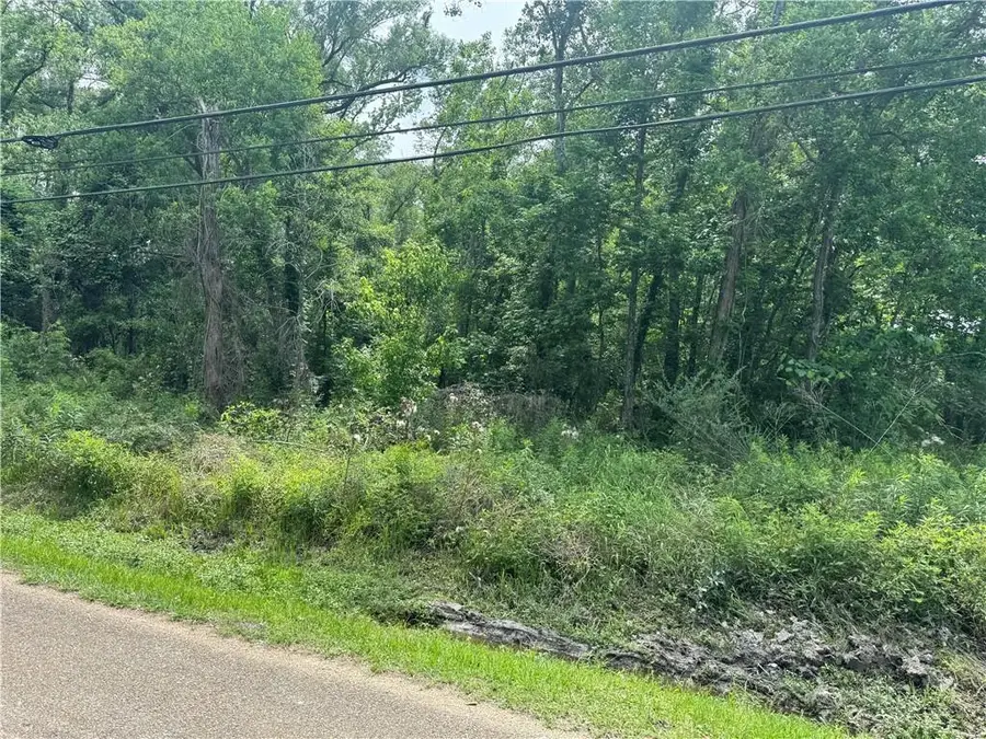 12558 N Central Avenue, Roseland, LA 70456 - #2