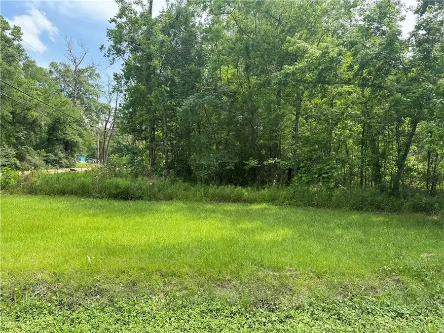12558 N Central Avenue, Roseland, LA 70456 - #3