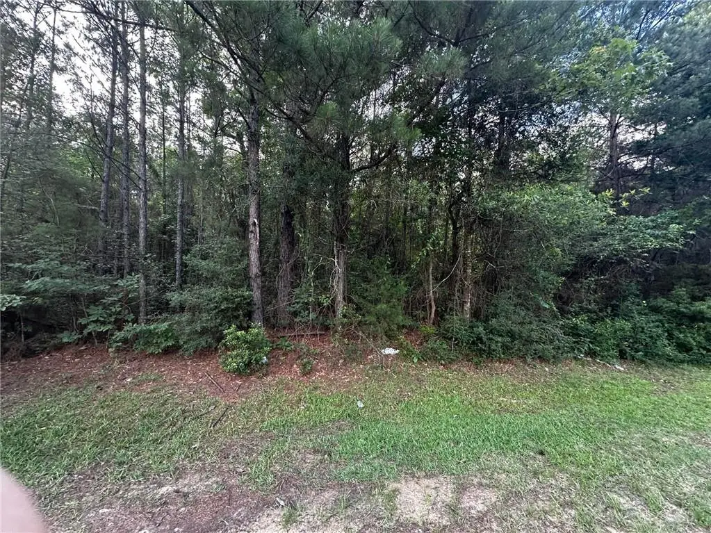 TBD Ebenezer Cemetery Road, Leesville, LA 71446 - #1