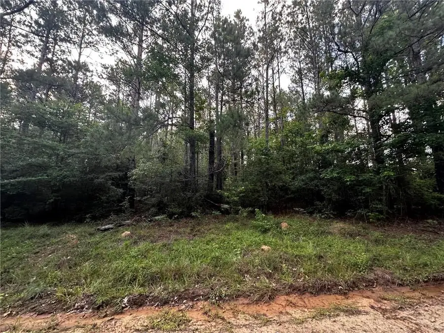 TBD Ebenezer Cemetery Road, Leesville, LA 71446 - #3