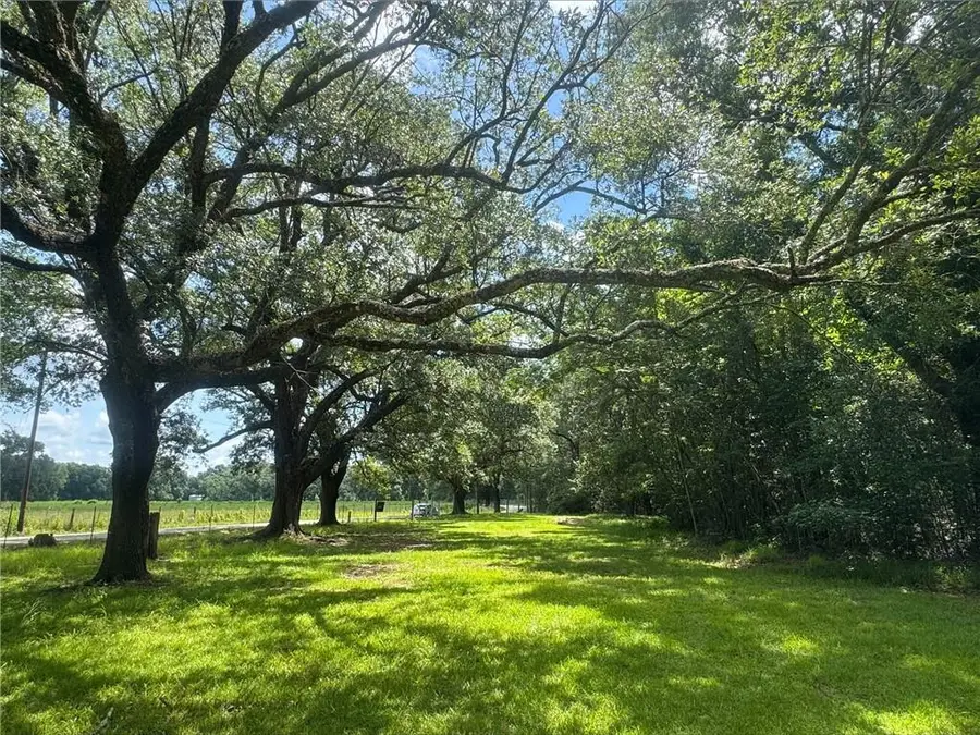 Cowart Road, Bush, LA 70431 - #3