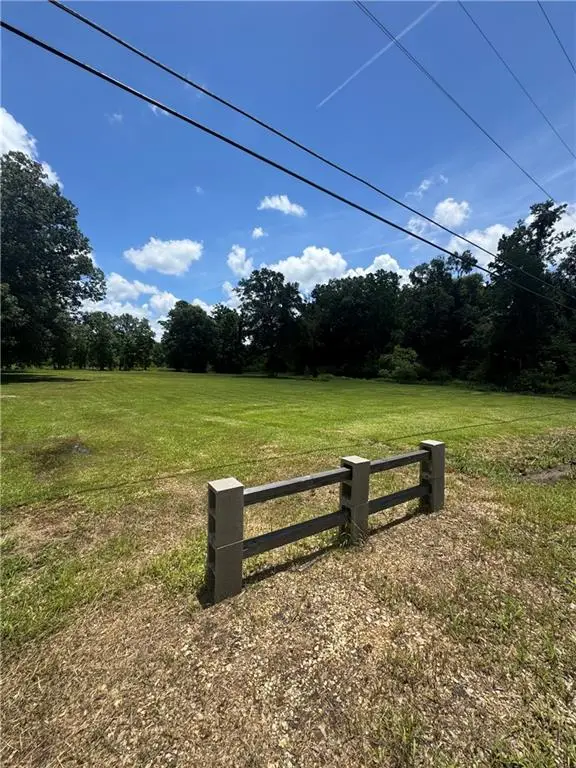 49090 Stafford Road, Tickfaw, LA 70466 - #1
