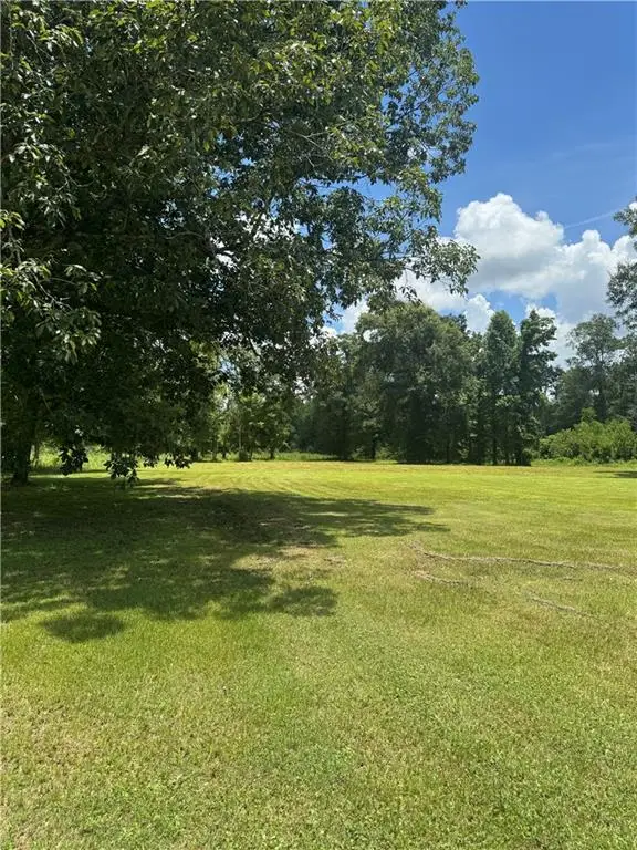 49090 Stafford Road, Tickfaw, LA 70466 - #3