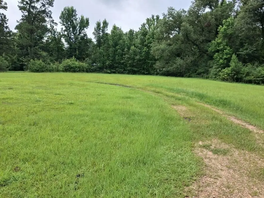 1307 Brinks Lane, Ball, LA 71405 - #2
