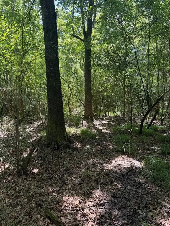 Port Hudson Pride Rd Road, Zachary, LA 70791 - #3