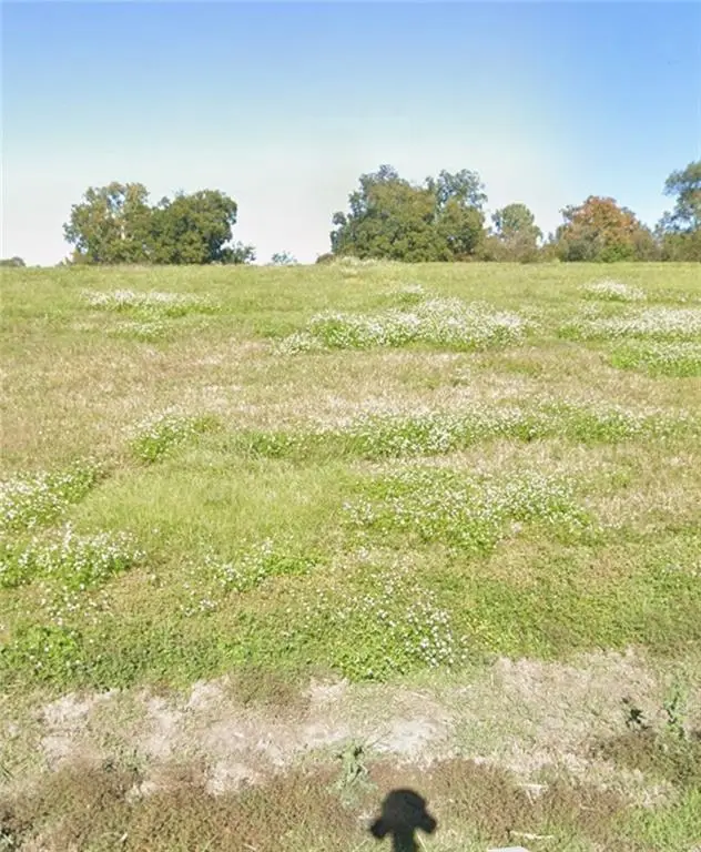 9397 Highway 405 Highway, Donaldsonville, LA 70346 - #2