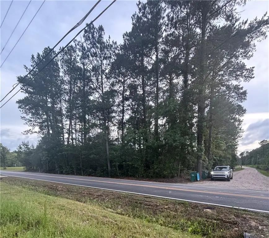 32061 Pea Ridge Road, Albany, LA 70711 - #1