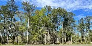 Highway 1088 Highway, Mandeville, LA 70448 - #1