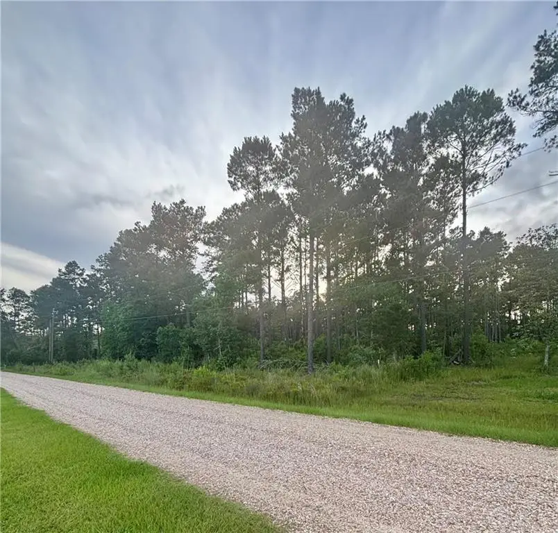 28019 Etta Blount Road, Albany, LA 70711 - #1
