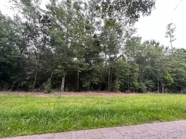 Helen Street, Lacombe, LA 70445 - #1