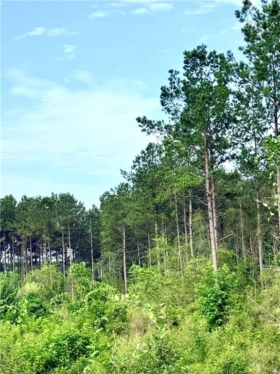 Lot1-A 5ac Lee Road, Franklinton, LA 70438 - #3