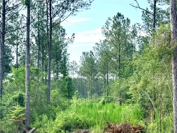 Lot2-B 3.08ac Lee Road, Franklinton, LA 70438