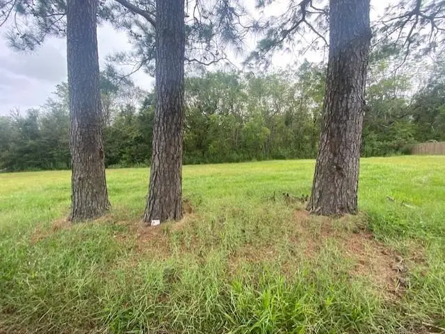 1641 Heights Drive, Saint Bernard, LA 70085 - #2