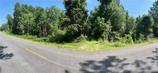 19376 N Saint Charles Avenue, Loranger, LA 70446