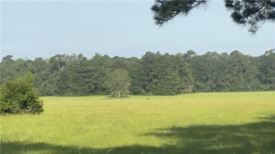 64559 Highway 51, Roseland, LA 70456 - #3