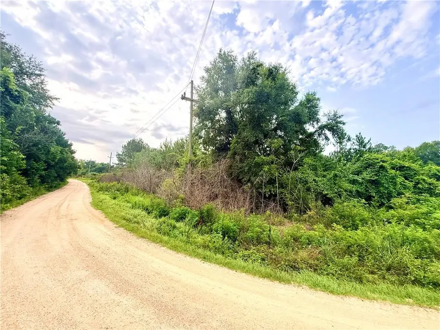 Lot10-11 Bogue Run Road, Franklinton, LA 70438 - #2