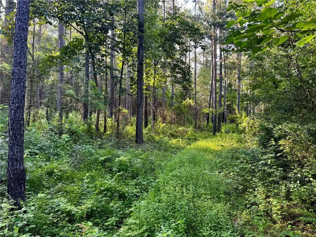 Parcel 3 Wardline Road, Bogalusa, LA 70427 - #1