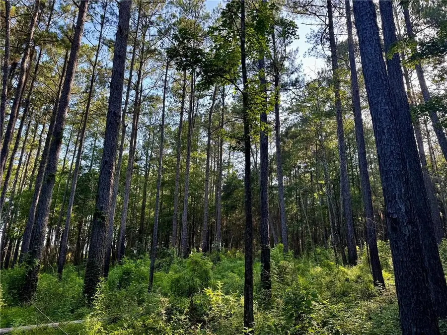 Parcel 3 Wardline Road, Bogalusa, LA 70427 - #3
