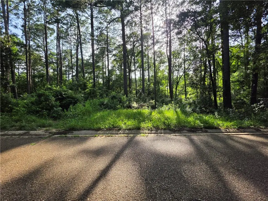 201 Kayla Drive, Natchitoches, LA 71457 - #1