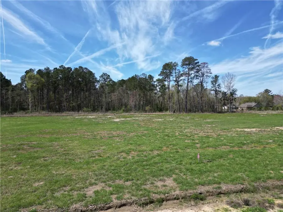 LOT A-5 Billy Joe Road, Independence, LA 70443 - #3