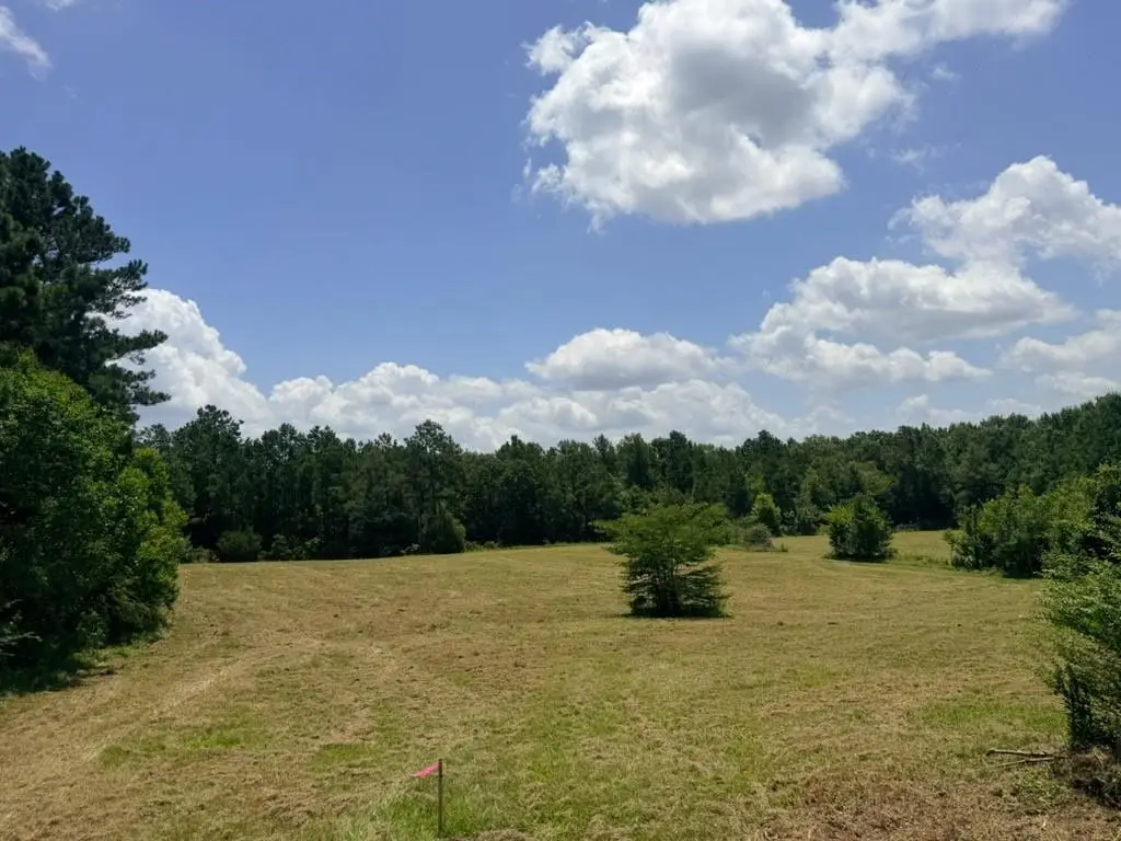 1916 Bayou Maria Road, Pineville, LA 71360 - #1