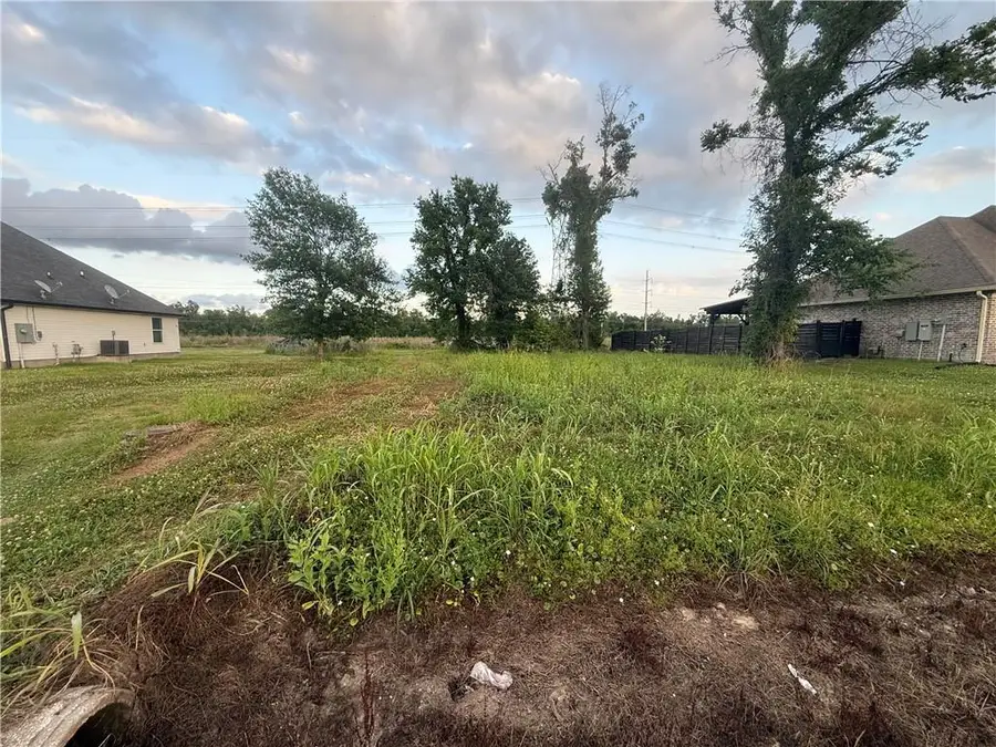 864 Evangeline Road, Montz, LA 70068 - #2