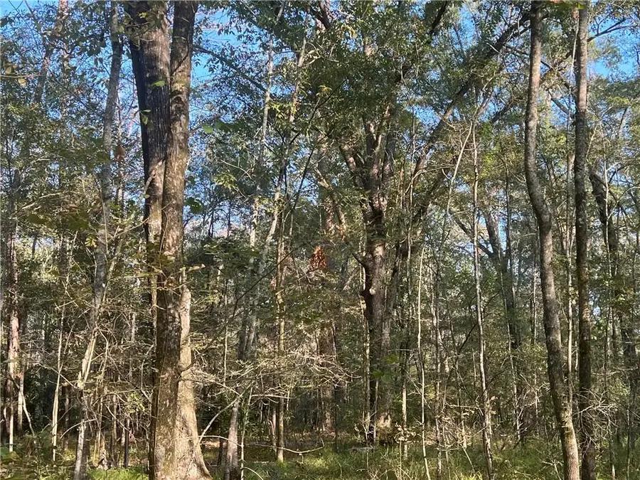 Lot 8 Hwy 115 Highway, Deville, LA 71328 - #3