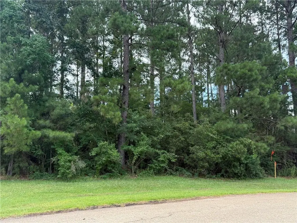 320 Beebalm Circle, Covington, LA 70435 - #1