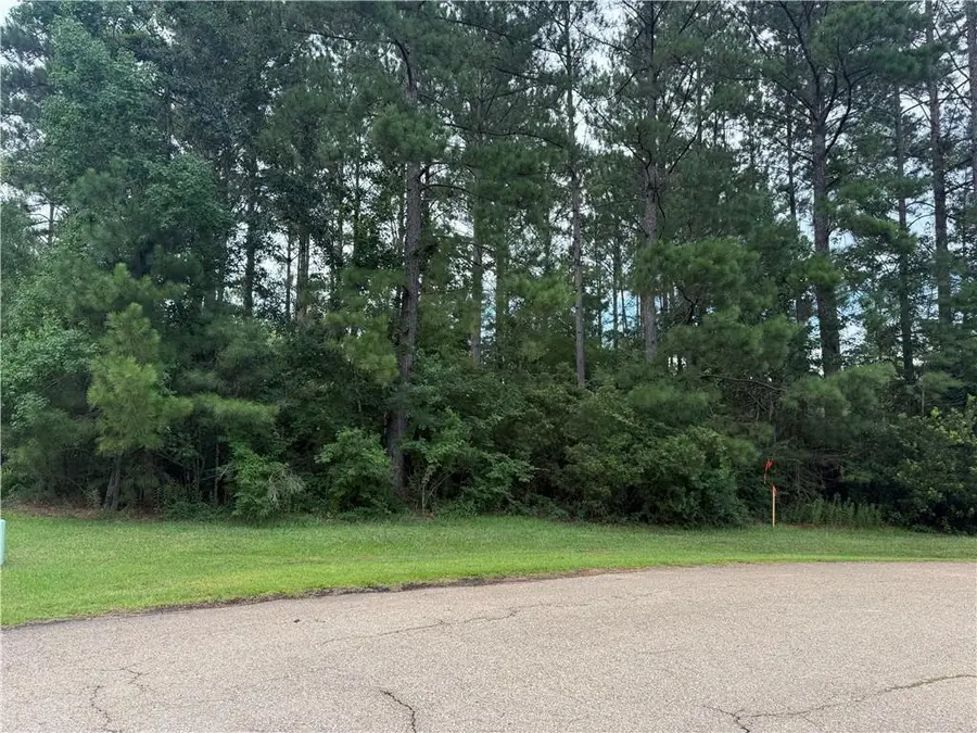 320 Beebalm Circle, Covington, LA 70435 - #2