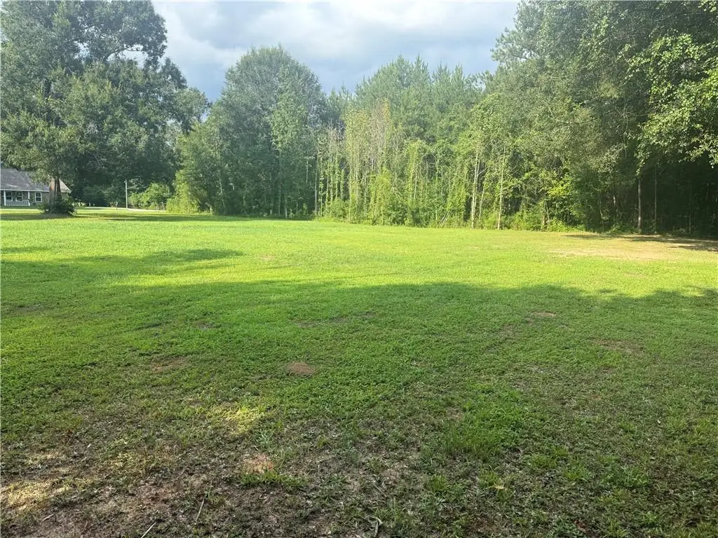 TBD Mcmanus Drive, Tickfaw, LA 70466 - #1