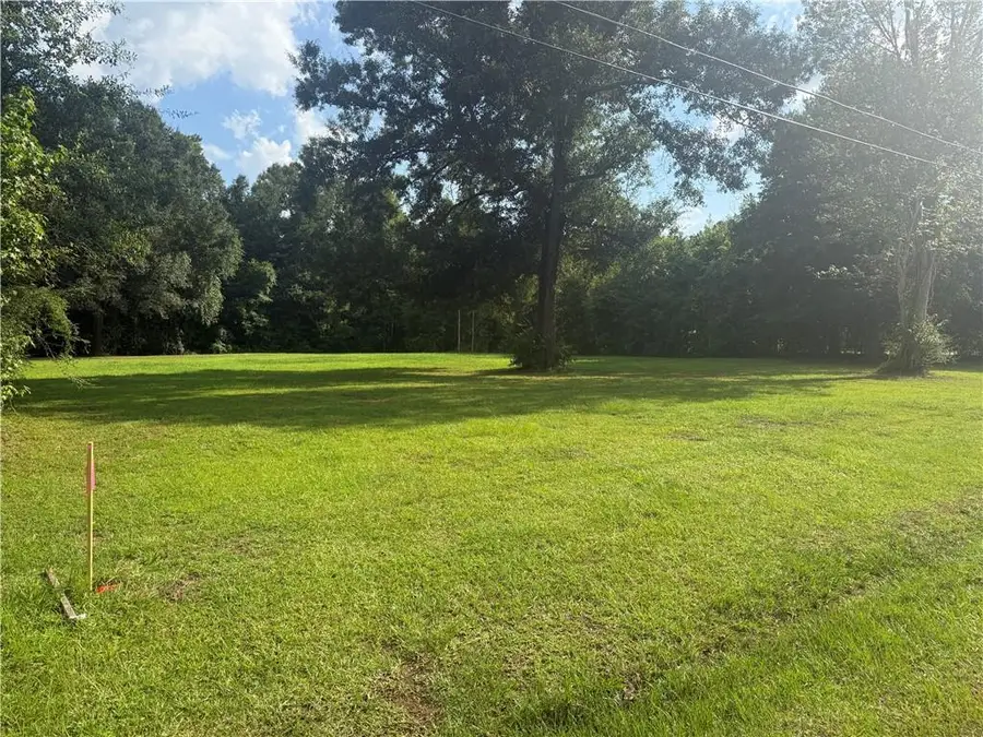 TBD Mcmanus Drive, Tickfaw, LA 70466 - #2