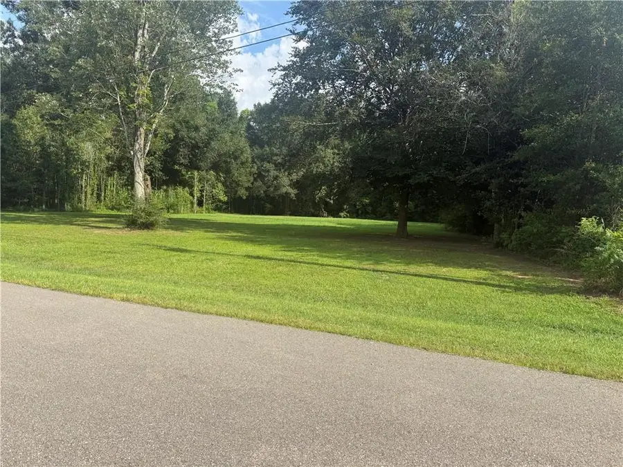 TBD Mcmanus Drive, Tickfaw, LA 70466 - #3