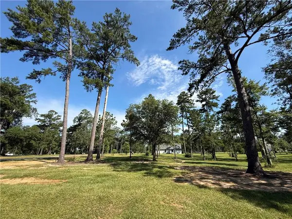 133 Chinawood Drive, Abita Springs, LA 70420