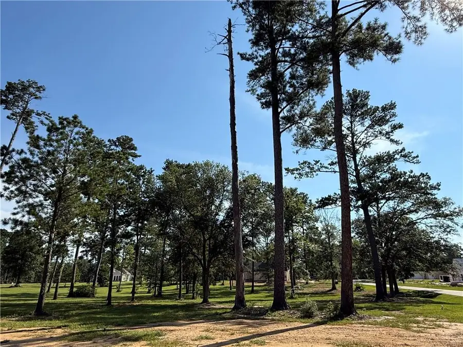 133 Chinawood Drive, Abita Springs, LA 70420 - #2