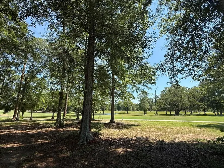 835 Camphill Drive, Abita Springs, LA 70420 - #2