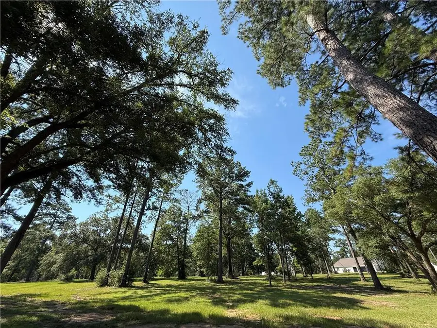 2720 Shade Tree Court, Abita Springs, LA 70420 - #2
