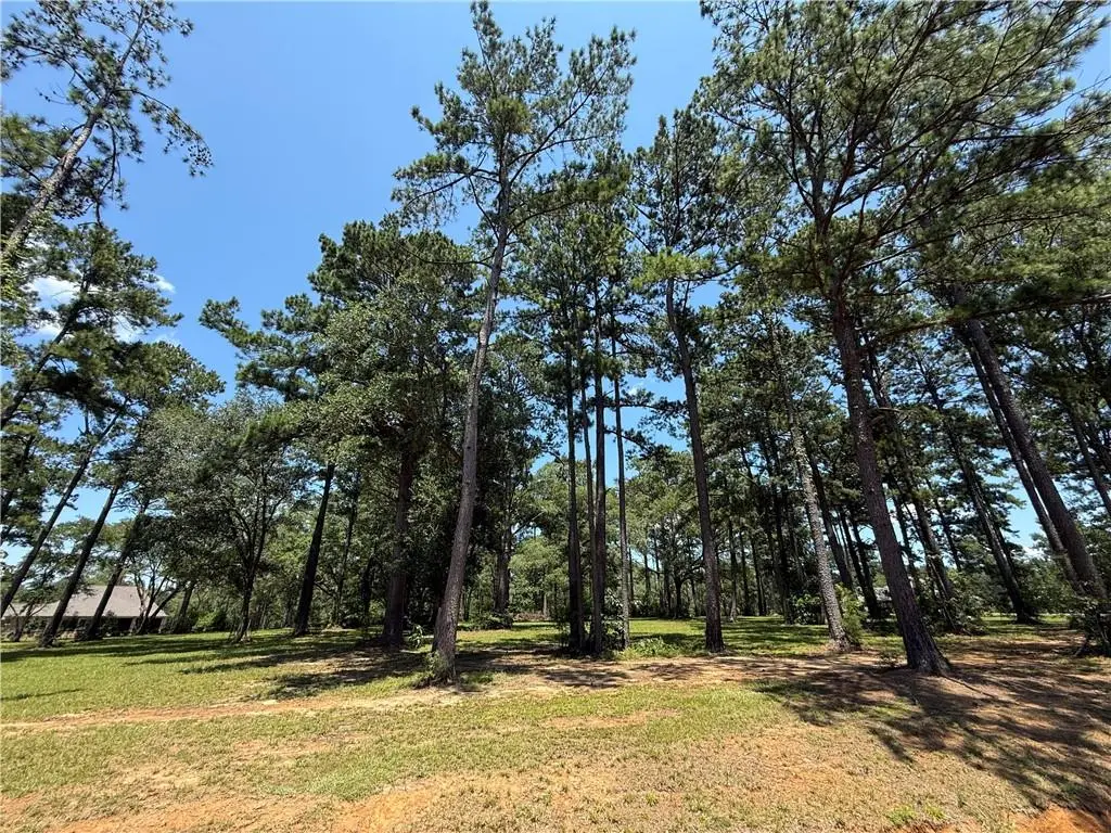 7238 The Woods Avenue, Abita Springs, LA 70420 - #1