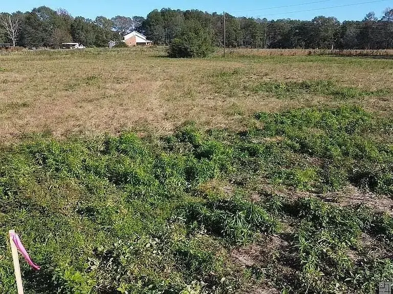 18237 1057 Highway, Kentwood, LA 70444 - #1