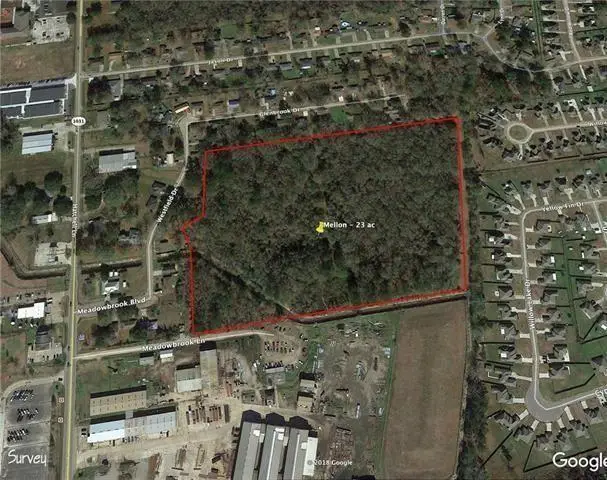 Meadowbrook Boulevard, Denham Springs, LA 70726 - #2