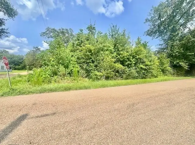 800 E Iowa Street, Hammond, LA 70401 - #1