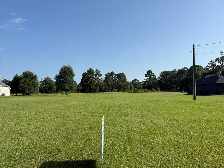 29636 Prokop Road, Albany, LA 70711 - #2