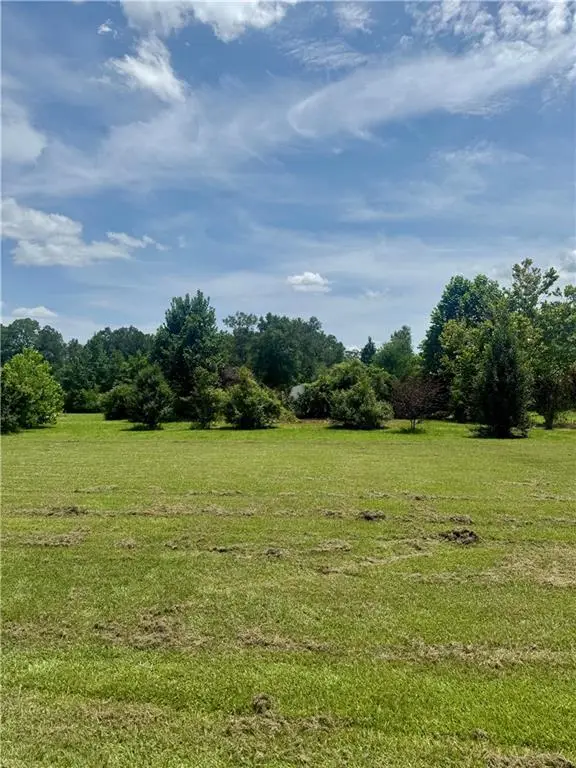 50414 Lester Lane, Loranger, LA 70446 - #1