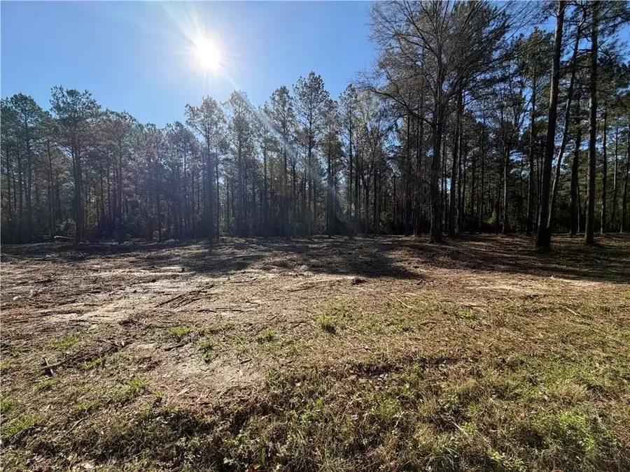 TBD 3.32 acres Tatoo Road, Glenmora, LA 71433 - #2