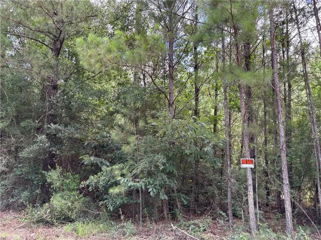 1.529 AC Trappers Run, Albany, LA 70711 - #1